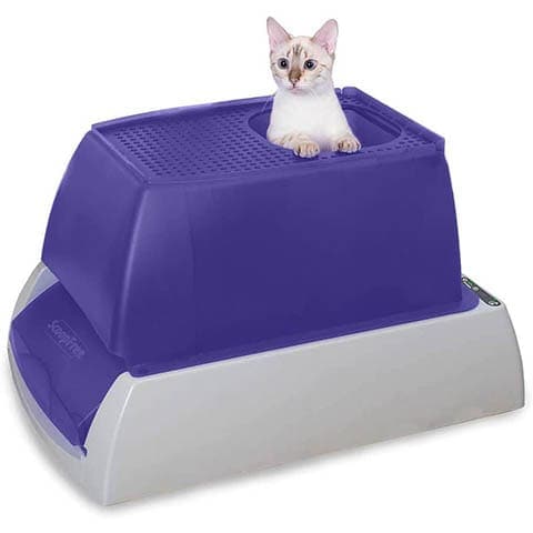 affordable self cleaning litter box
