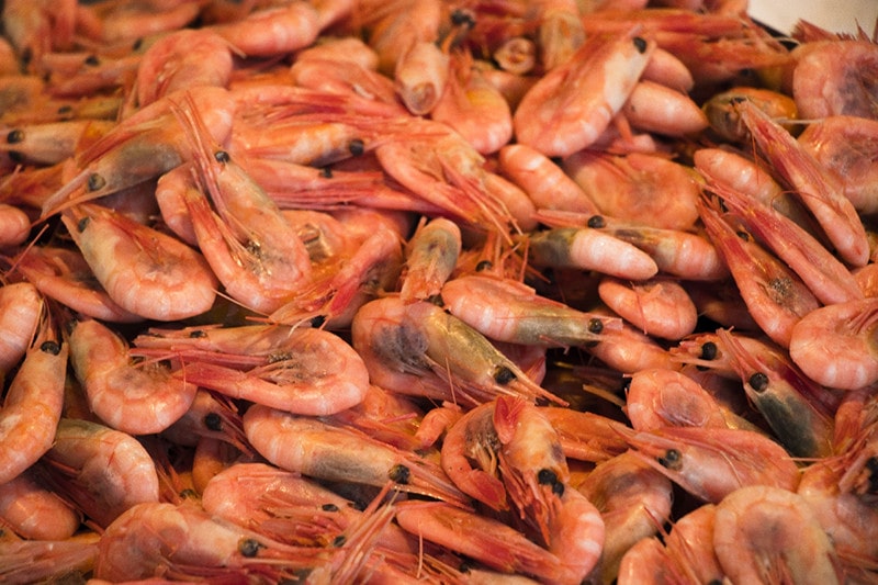 Shrimps