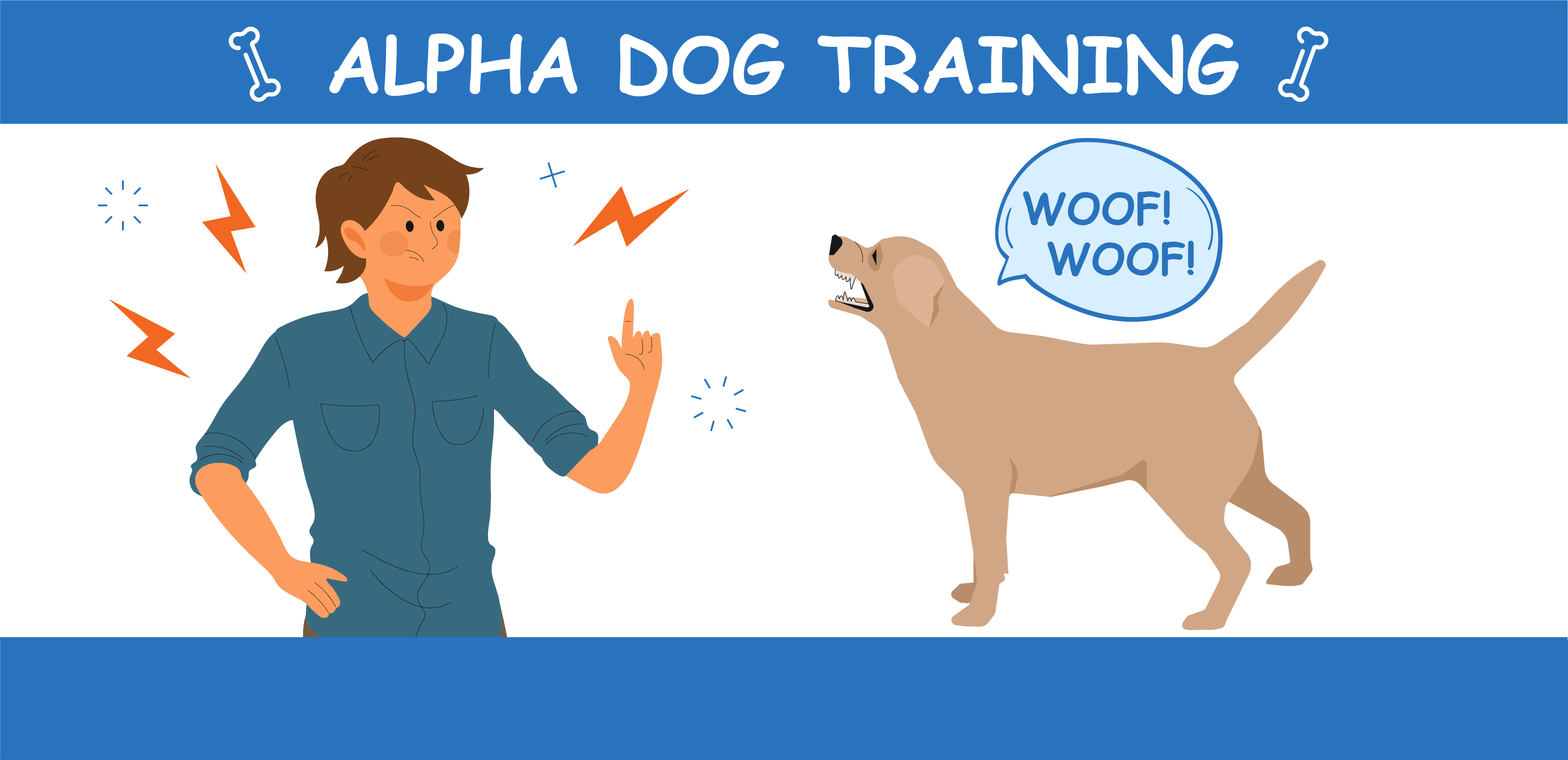 What Are The Different Types Of Dog Training Methods