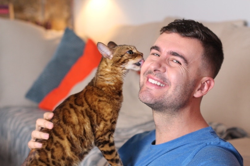 cat licking owners face