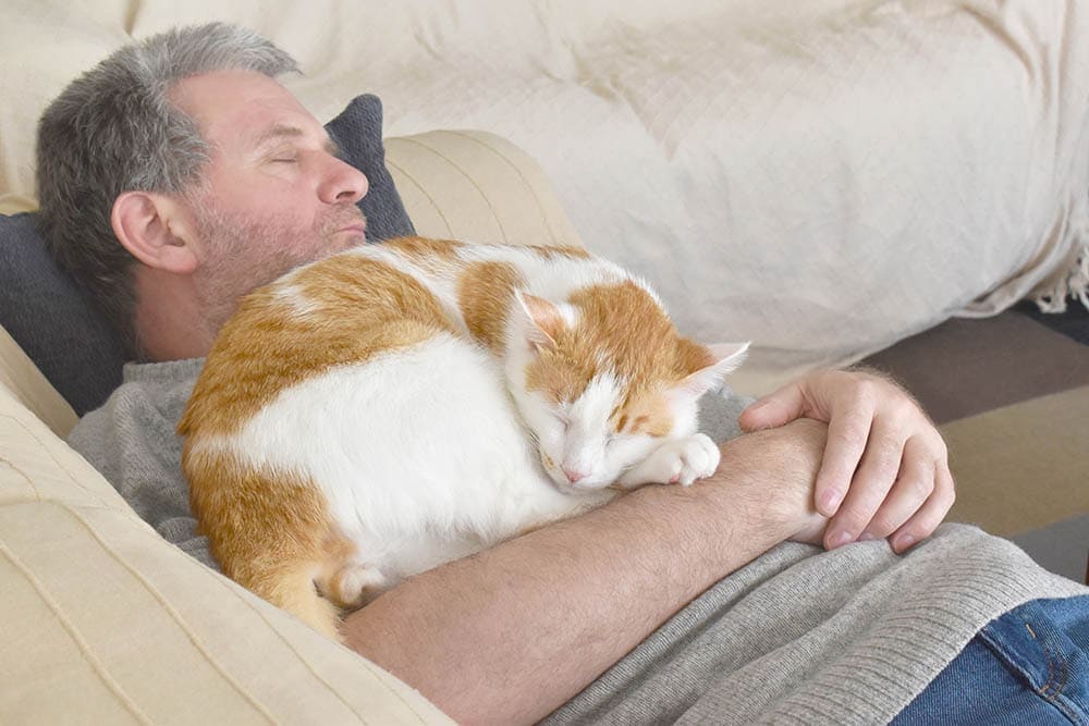 cat sleeping near man's face