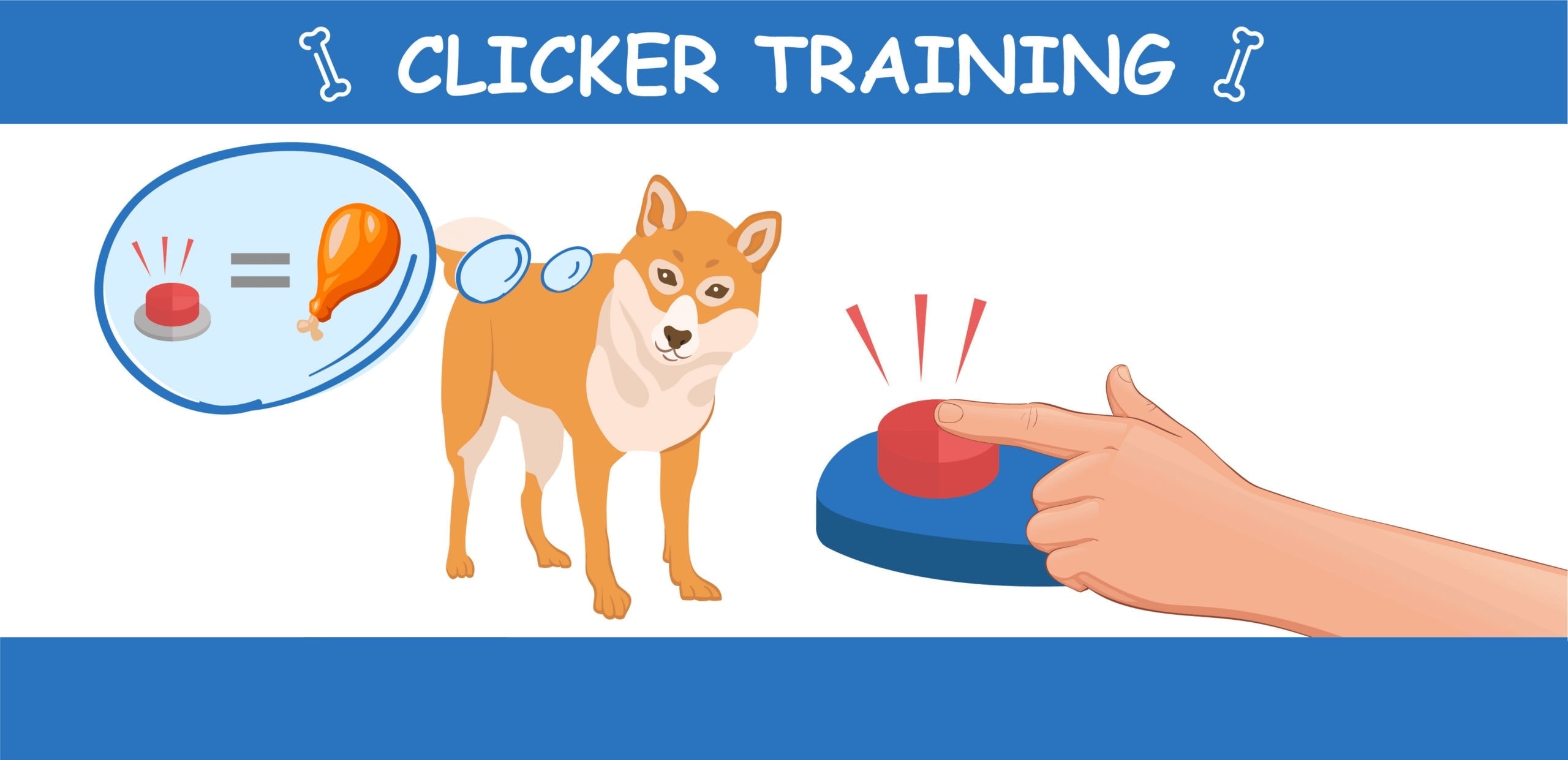 clicker training infographic4