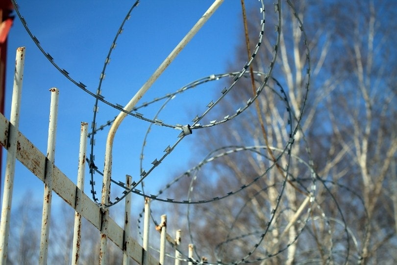 electirc fence