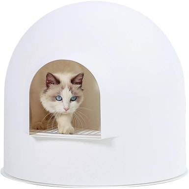 stylish cat litter boxes