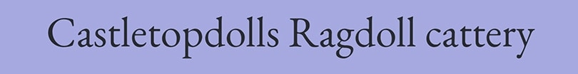 Castletopdolls Ragdoll Cattery logo