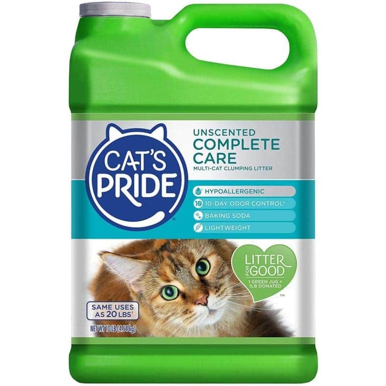 6 Best Litters for Cats and Owners With Asthma 2024 Reviews & Top