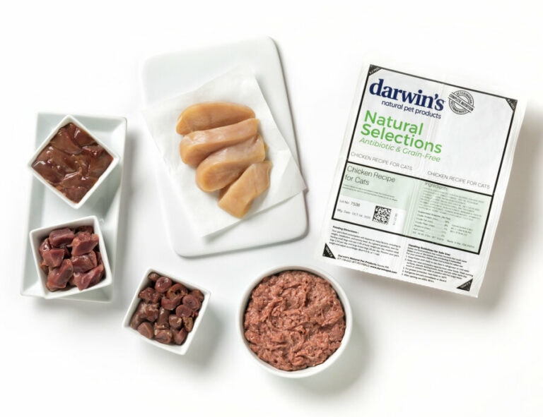 9 Best Raw Cat Foods 2024 Reviews & Top Picks Hepper