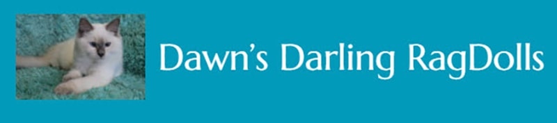 Dawn’s Darling Ragdolls