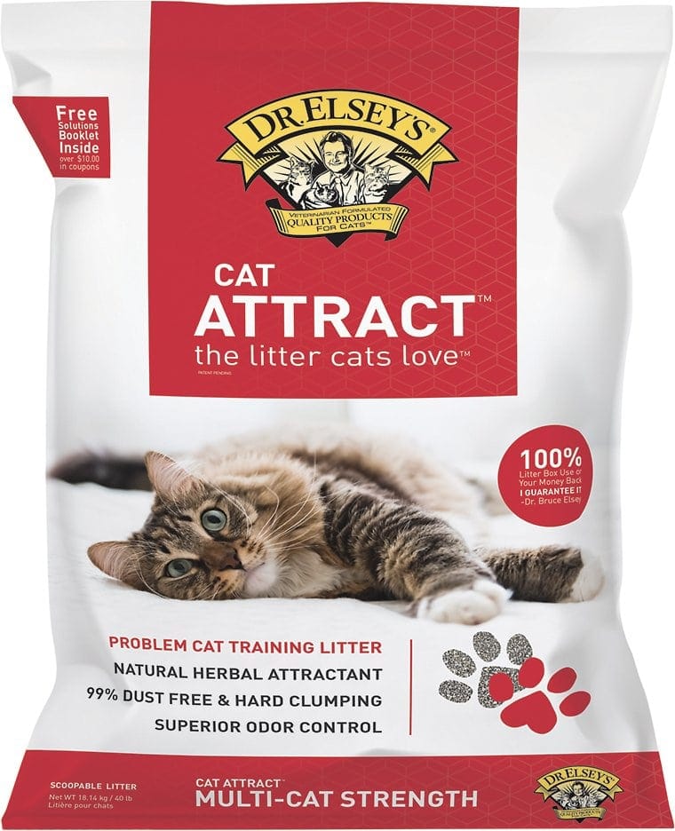 picky cat litter
