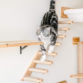 FUKUMARU Cat Climbing Shelf Wall Mounted_Amazon