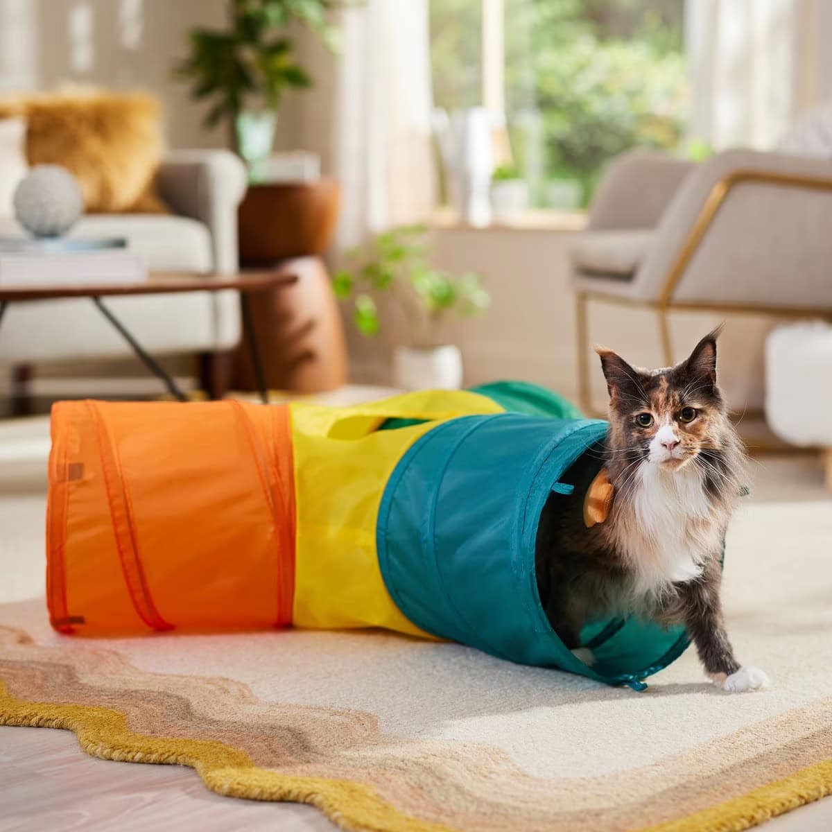 Frisco Peek-a-Boo Chute Tri-Tunnel Cat Toy new