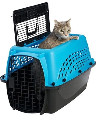 cat carrying case walmart