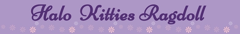 Halo Kitties logo