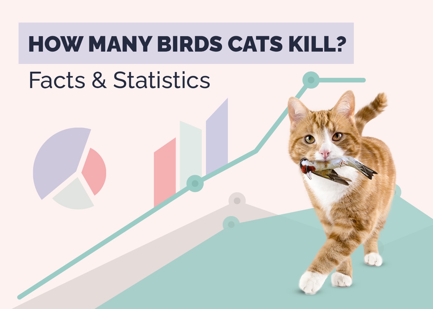 How Many Birds Cats Kill Statistics