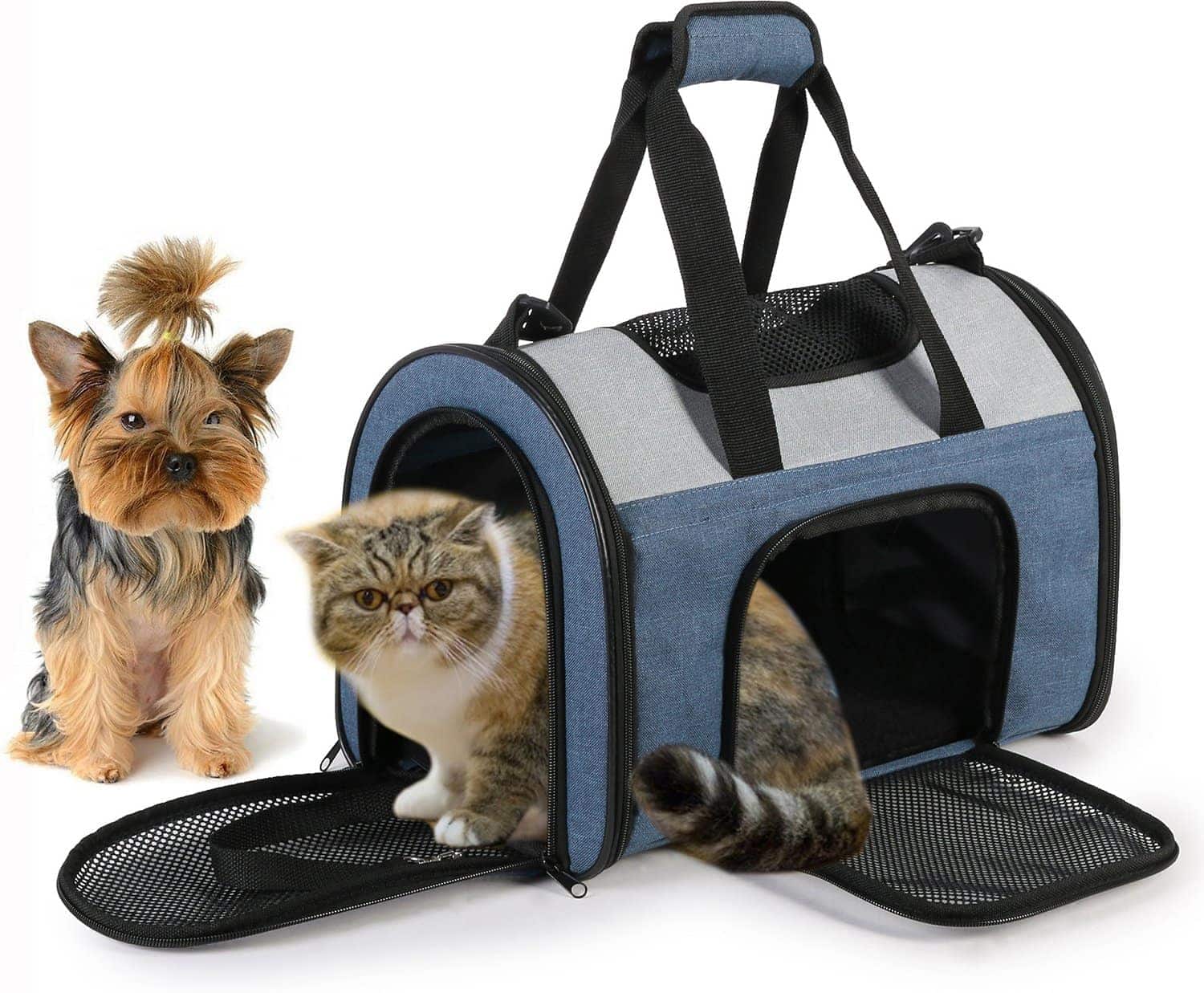 soft sided cat carriers