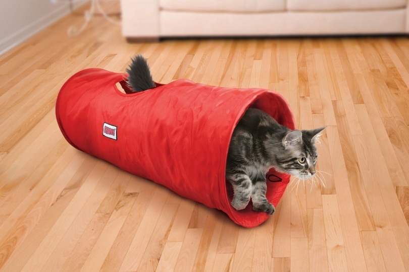 KONG Active Nylon Tunnel Cat Toy