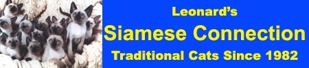 Leonard's Siamese Connection