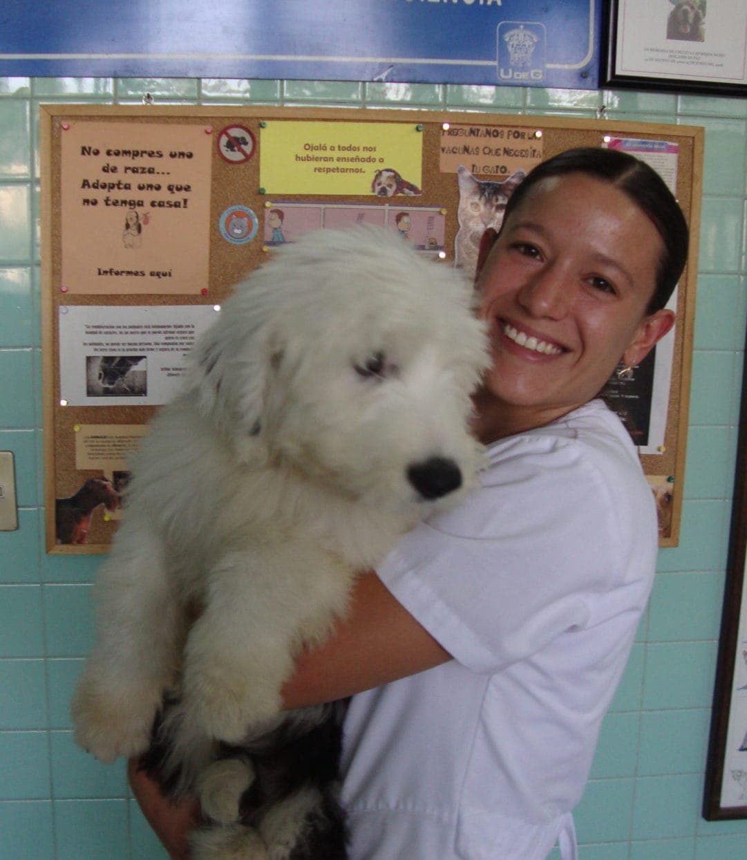 Paola in Vet office Paola in Vet office