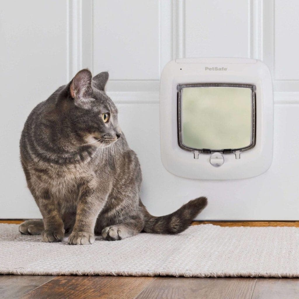 10 Best Electronic And Automatic Cat Doors 2024 Reviews & Top Picks