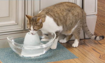 PetSafe Sedona Ceramic Cat Fountain