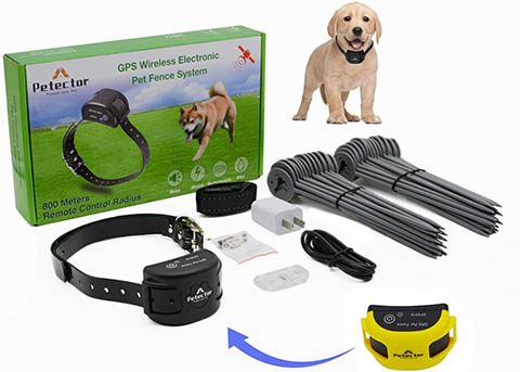 best pet fence system