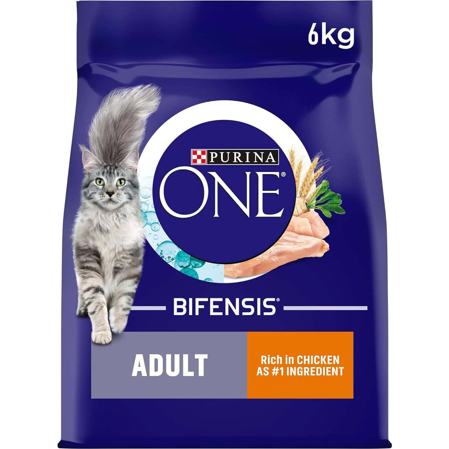 Purina ONE Adult Cat Food