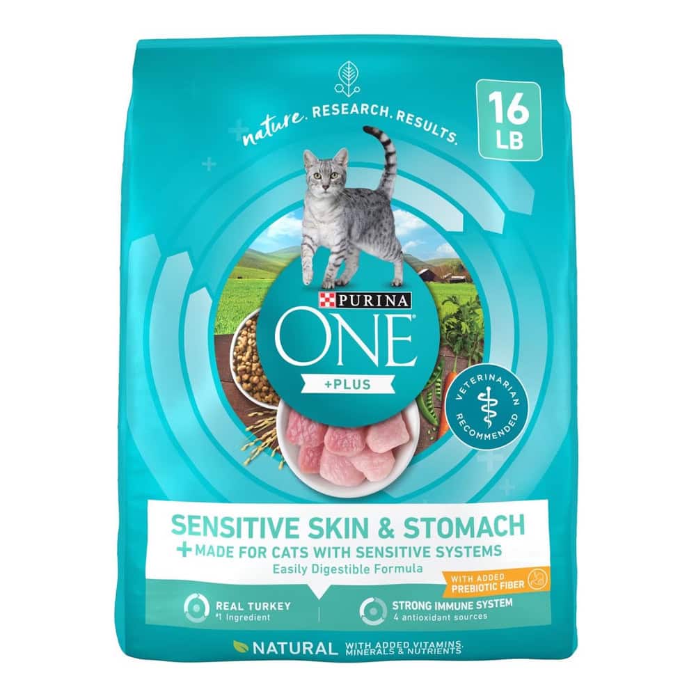 Purina ONE Skin & Stomach Dry Cat Food