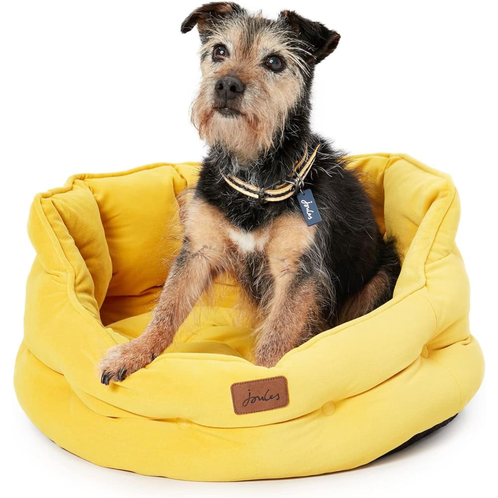 Rosewood Joules Chesterfield Dog Bed 