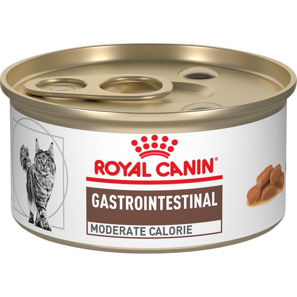 Royal Canin Gastrointestinal Canned Cat Food