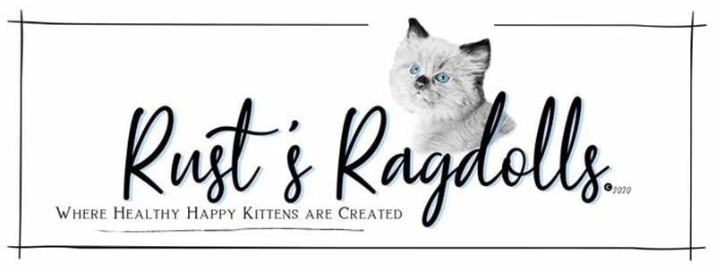 Rust’s Ragdolls