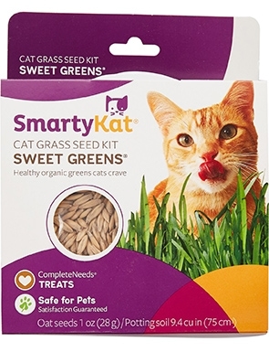chewy cat grass