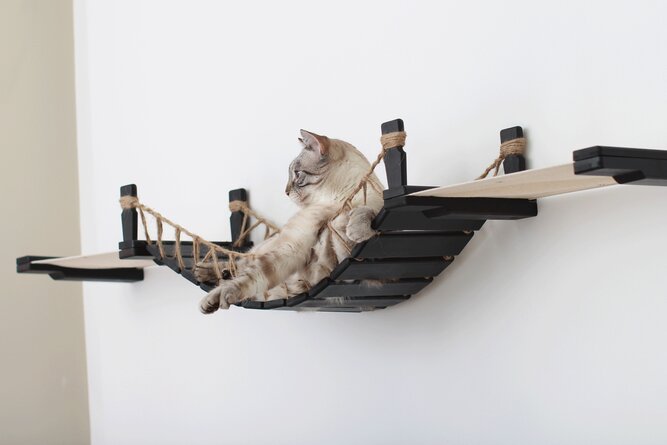 Spruill Bridge Cat Perch