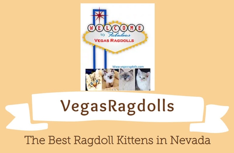 Vegas Ragdolls logo