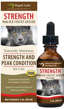 protein supplements for cats