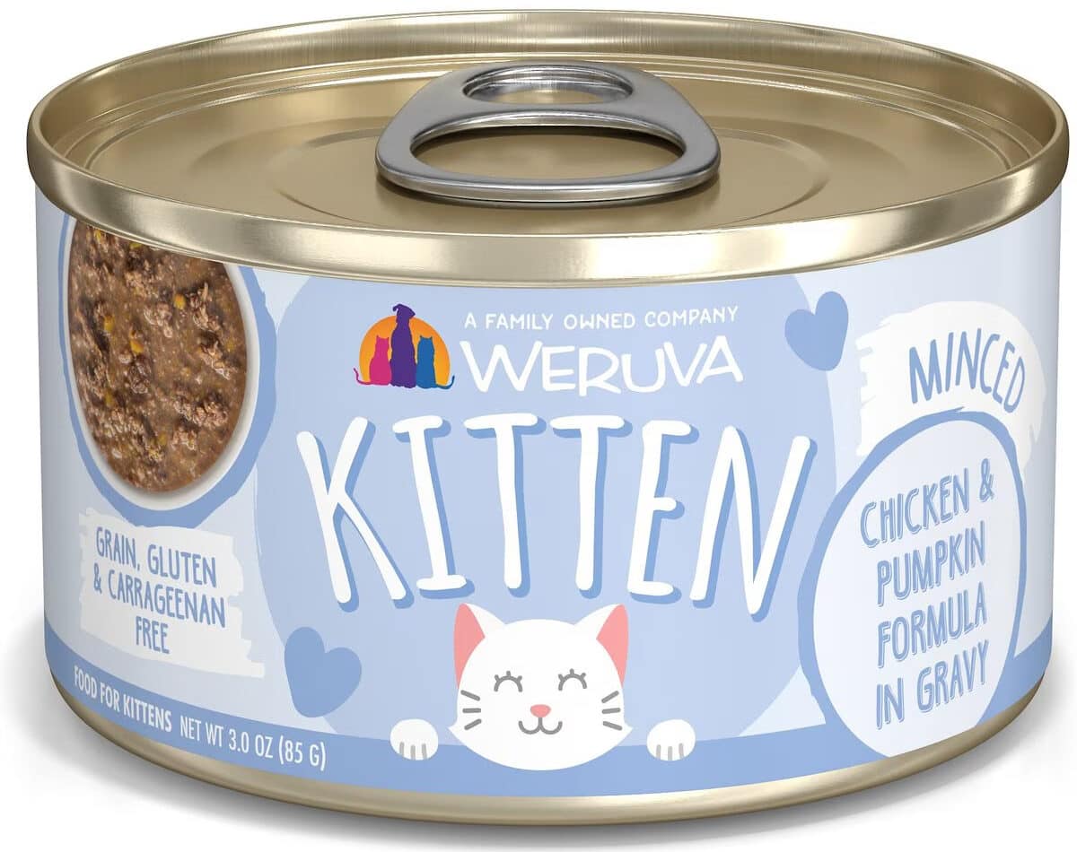 Weruva Kitten Chicken & Pumpkin