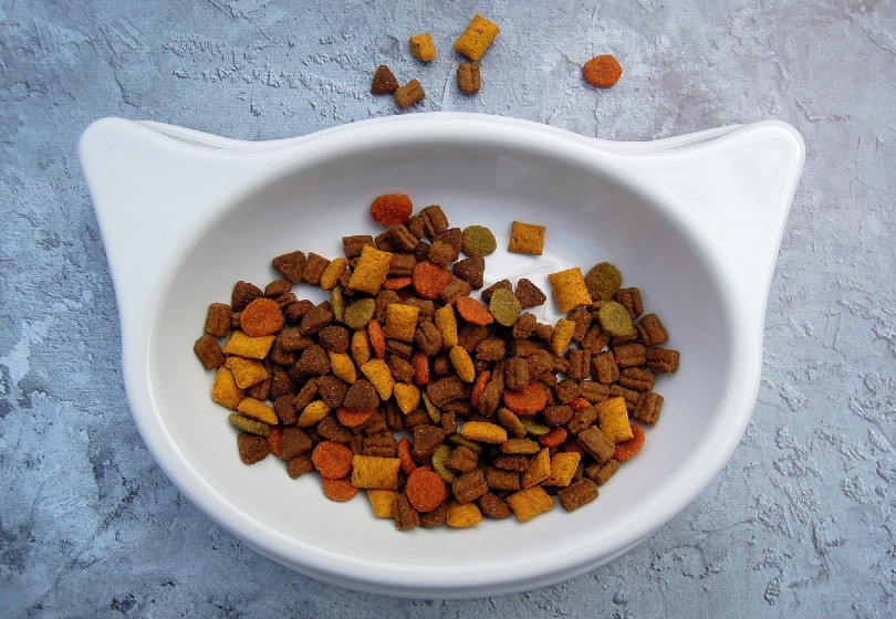 cat food