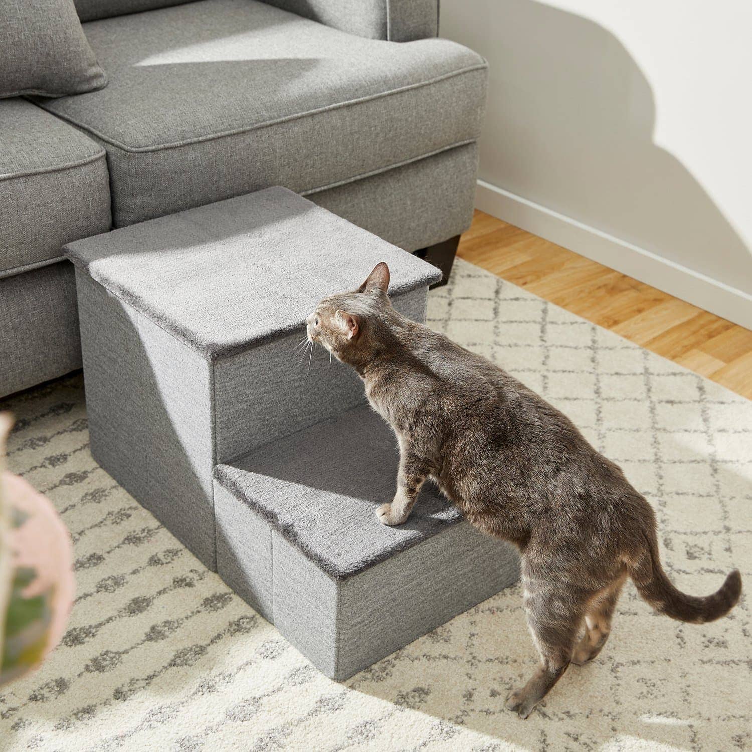 cat using Frisco Collapsible Cat & Dog Stairs & Storage