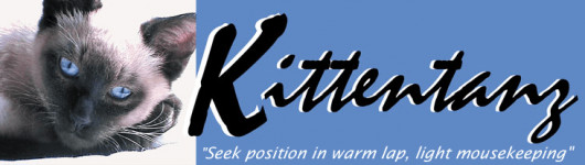 kittentanz