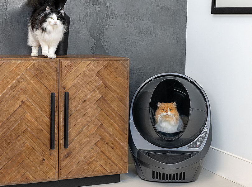 25 Best Litter Boxes for Cats that Kick Litter - Lindsey Blogs