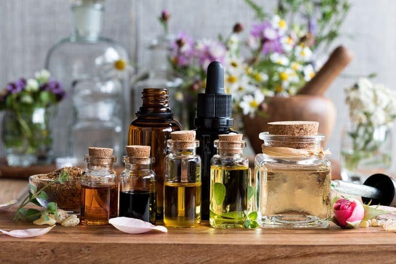 Are Essential Oils Safe for Dogs?