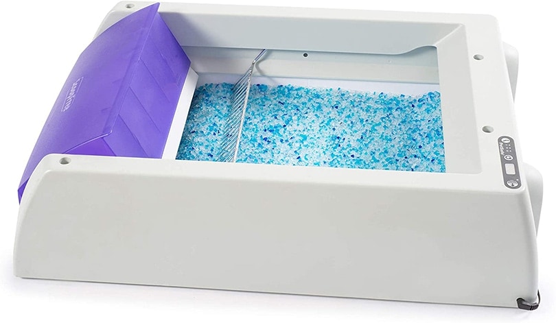 medium dog shock collar