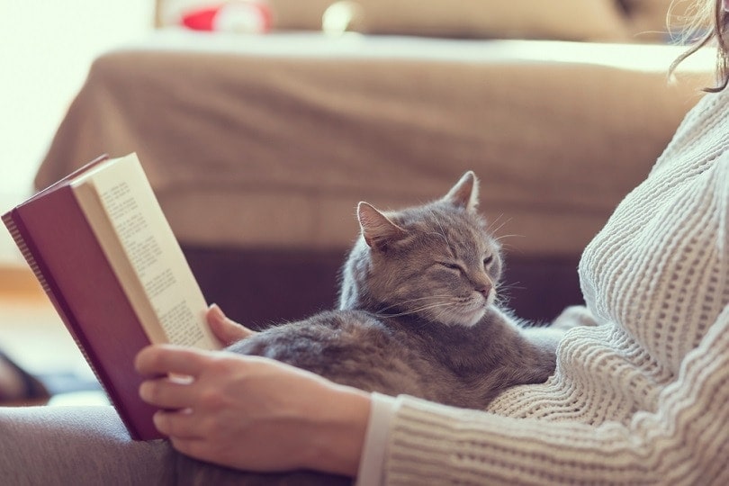 tabby cat lying on the lap of a woman reading a book