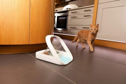 best auto cat feeder 2021 best auto cat feeder 2021