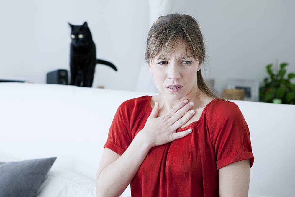 người phụ nữ bị dị ứng với mèo