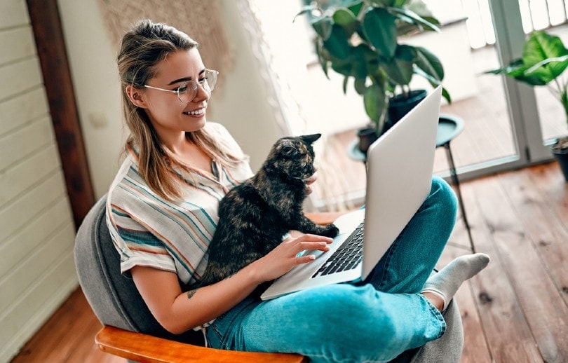 người phụ nữ trẻ làm việc với con mèo cưng của mình