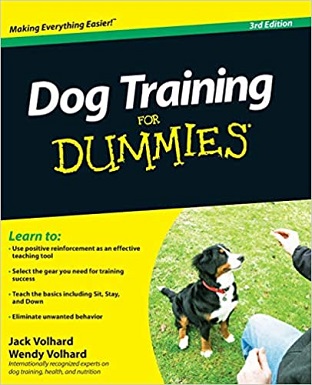 10Dog Training For Dummies