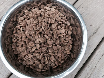 dry dog food
