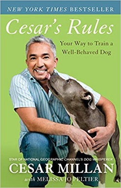 1Cesar's Rules Your Way to Train a Well-Behaved Dog