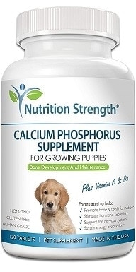 chlorhexidine spray for dogs