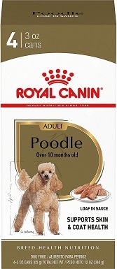 Best food for clearance miniature poodle